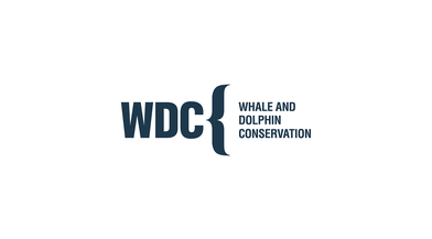 Whale and Dolphin Conservation Logo